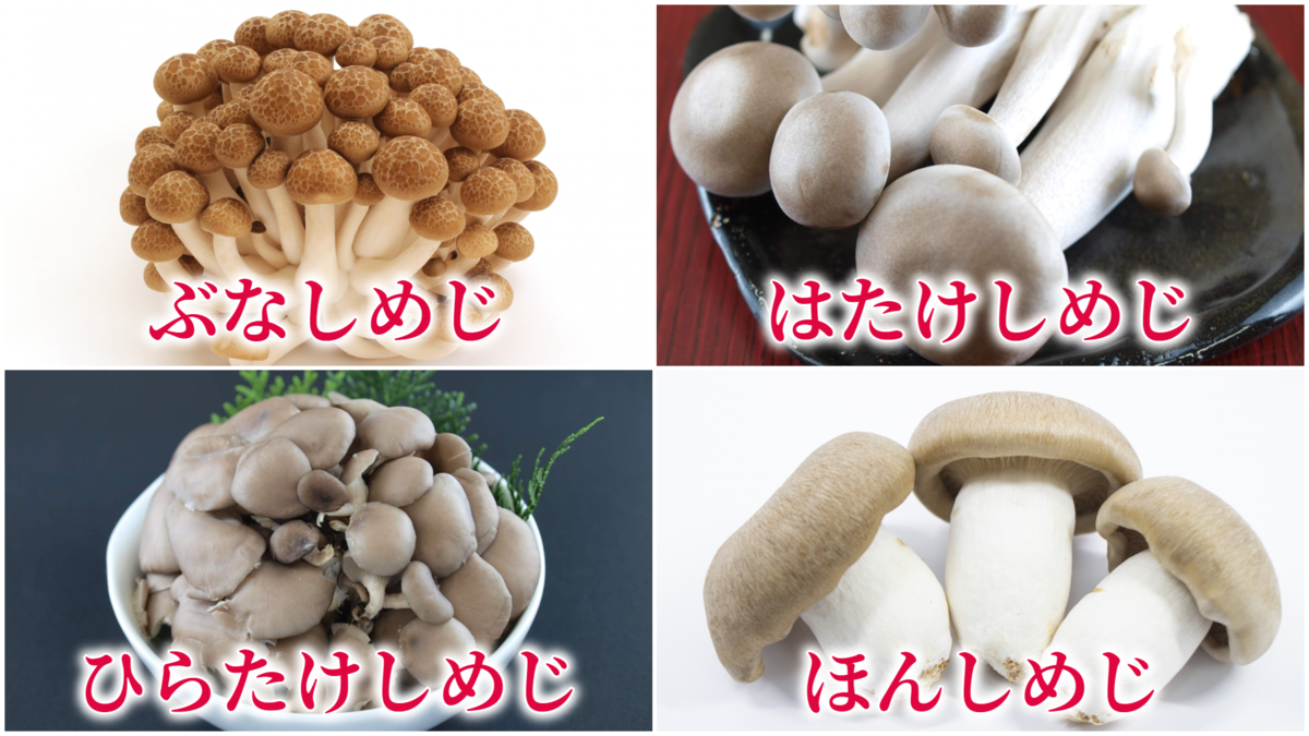 ぶなしめじきのこ一覧きのこ長野県の農畜産物JA全農長野