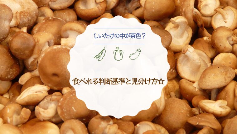 しいたけは腐るとどうなる？臭いや白や黒、色等での見極め方や保存方法も！食生活研究所 -食☆ラボ