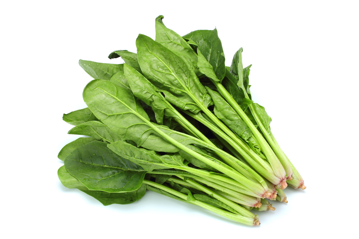 ほうれん草岐阜のやさいぎふクリーン農業