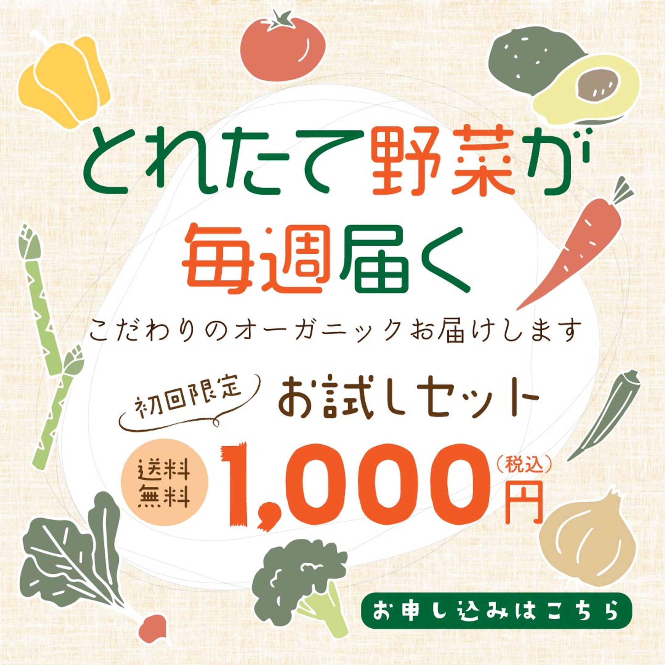 野菜採り放題サービスで消費者も生産者も得する！「収穫サブスク農園」が全国7県に拡大 兵庫・鹿児島で新規オープン日本農業新聞