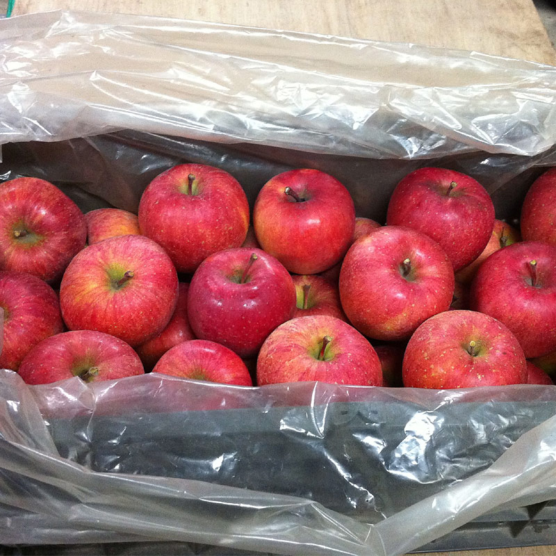 西村りんご園りんごが持つエチレンガスの力