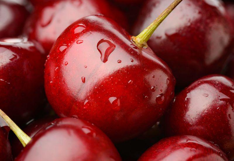 ソメイヨシノの野良サクランボで桜リキュールを作ってみた東京でとって食べる生活