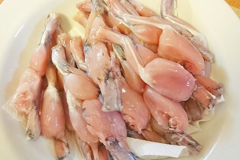 商品案内：台湾産 蛙レッグ総合高級食品卸・貿易業務 ヤマオカ