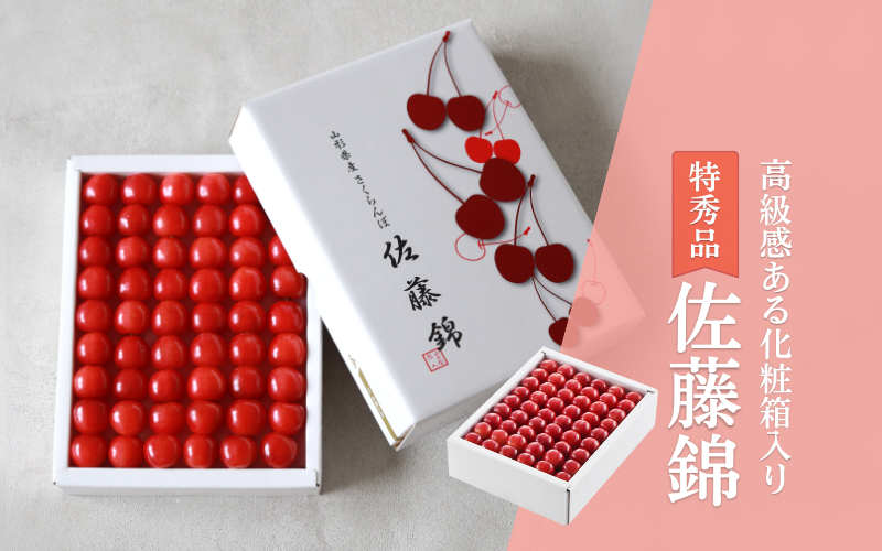 アメリカンチェリー ビング種約2kgワシントン州産 大粒 2キロ 10.5R チェリー ダークチェリー アメチェ USA ワシントンamerican cherry さくらんぼ サクランボ 食品 フルーツ 果物 さくらんぼ アメリカンチェリー 甘い 人気 男性 女性 喜ばれる2025