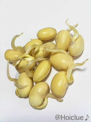 豆もやしのナムル - おすすめレシピダイエー食の情報