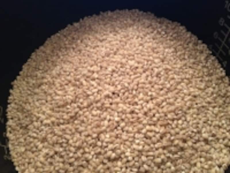 もち麦は「危険」って本当？噂される理由や安全な食べ方を詳しく解説！薬の通販オンライン