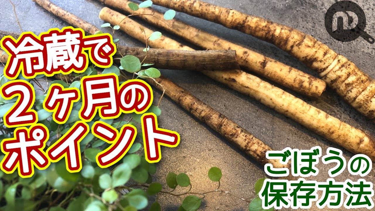 きんぴらごぼうの日持ちはどれくらい？保存や冷凍のコツまとめ - macaroni