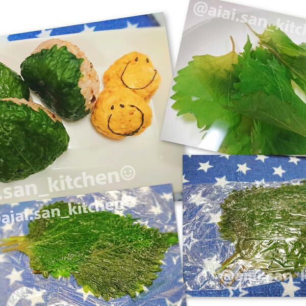 赤紫蘇の塩漬け・赤しそおにぎり –Organic Recipeオーガニックレシピ