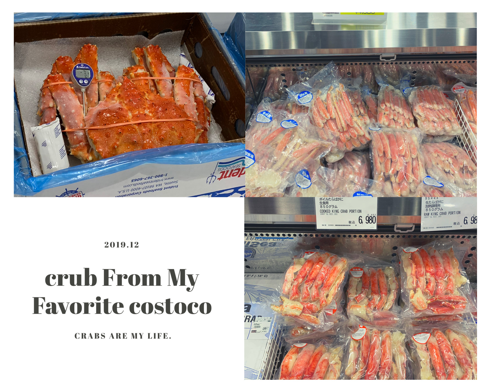 特大タラバガニ 送料無料 2〜3人前 お中元 贈答 たらば かに カニ 蟹 プレゼント ギフト 贈り物 お祝い : 海の幸なのにYAMATO - 通販- Yahoo!ショッピング