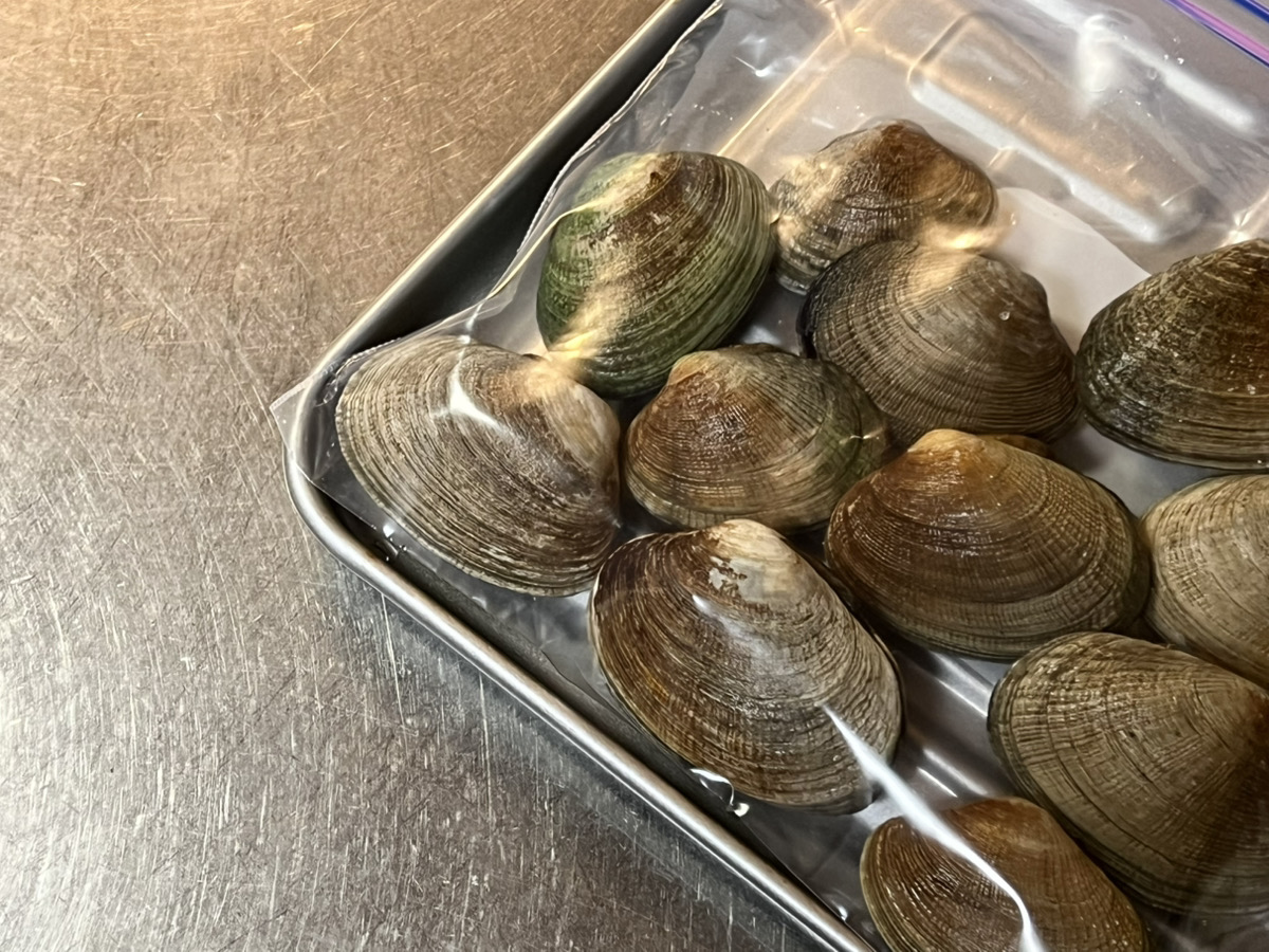 あさりの砂抜きのやり方 塩加減・時間・保存など ：白ごはん.com