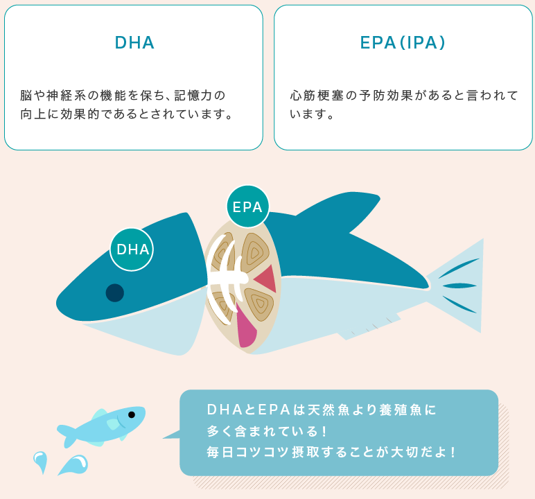 DHA・EPAが多い魚ランキング〜サバ、イワシ、マグロなど全21種類を比較〜美容と健康とビタミンC