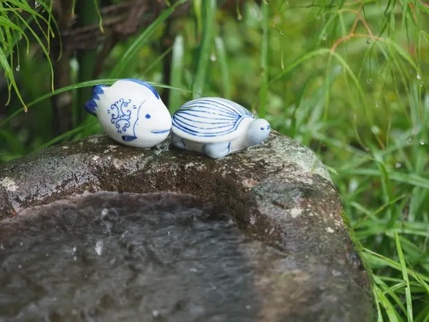 コーヒー・塩・熱湯など ナメクジの撃退法を詳しく解説します！ EPARKくらしのレスキュ