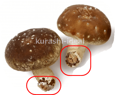 まいたけの切り方石づきはある？料理に合わせた切り方も紹介！コジカジ