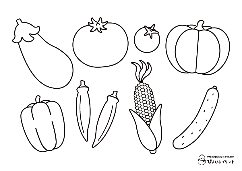 2月19日今日はなんの日？食育ぬりえ 誕生花・誕生色もおべんきょばこ