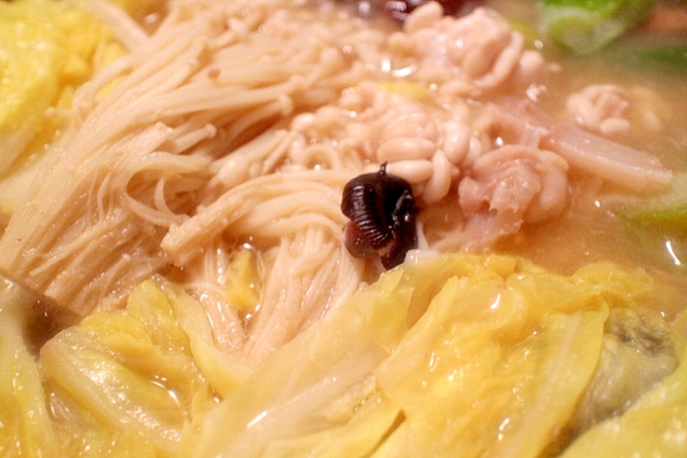 2023年新メニュー！あん肝に白子に牡蠣にいくらプリン体の爆盛り「痛風鍋」が登場株式会社Labotホールディングス