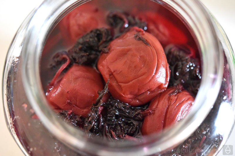 紫蘇を使った梅干しのおいしい漬け方やレシピをご紹介します梅干しの通販 和歌山の南高梅専門店熊平の梅