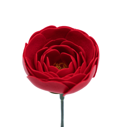 植え替えしてないラナン ラックスこれだけはして下さい！伊豆の田舎でお洒落に暮らす