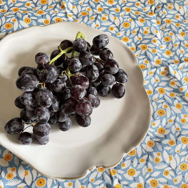 コストコのブドウとスーパーのブドウは違うの？ 2023春トコトコあけみん