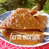 基本からアレンジまで！思わずつくりたくなる「味噌ダレ 味噌おでん」のレシピ集クックパッド