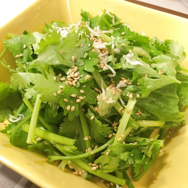 パクチー好き必見！ 何でもタイっぽくなるドレッシング - 価格.comマガジン