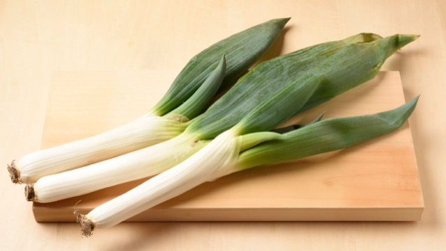 異常気象に負けない、「根深ネギ」栽培のポイントと品種の選定品種ピックアップ最前線WEB - タキイ種苗