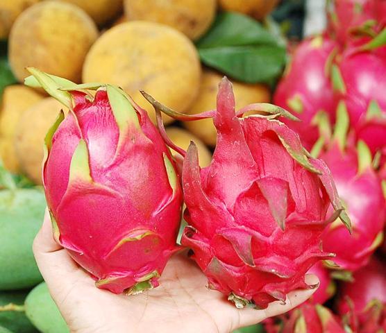 うるま市産ドラゴンフルーツ ３〜６玉 約2kg前後 - 沖縄県うるま市ふるさとチョイス - ふるさと納税サイト