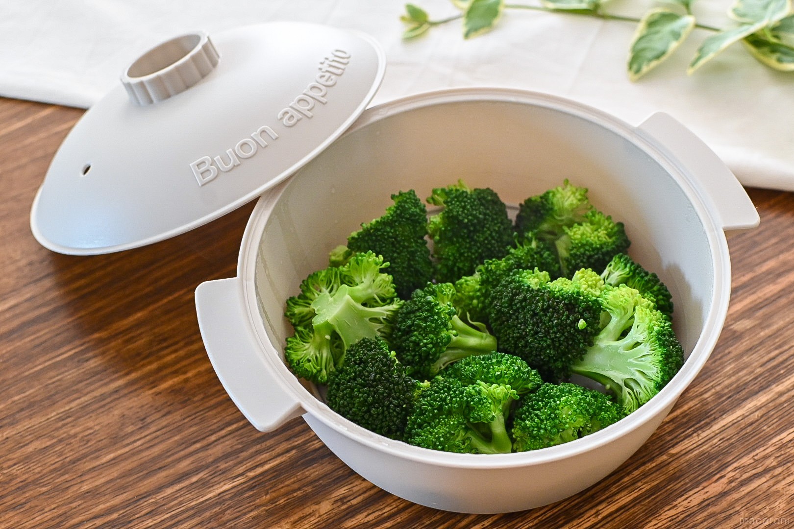 ビストロヌードルの新着記事アメーバブログ アメブロ