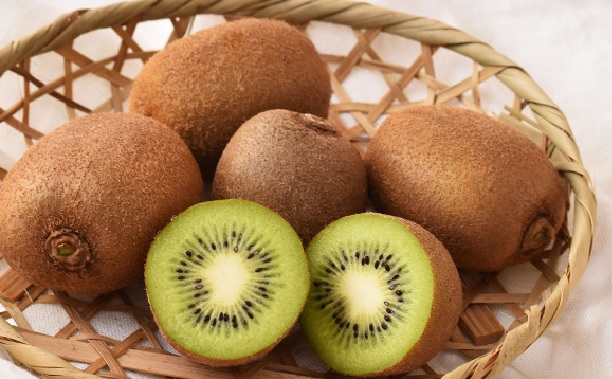 秋の果物 フルーツ 特集 淡路島の旬食材公式 淡路島西海岸 by PASONA