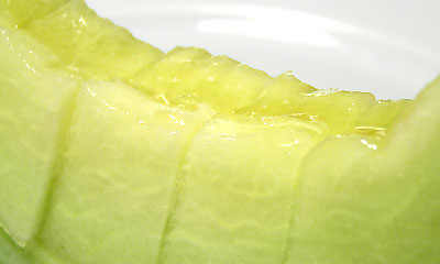 山形観光 夏の酒田を満喫しよう！おすすめスポット3選Cook meal