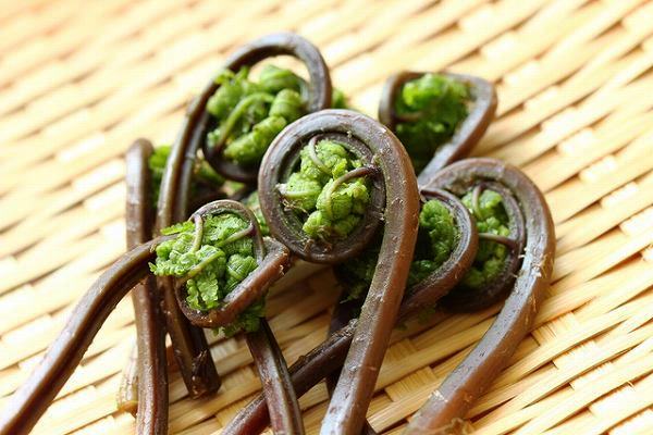 保存版 こごみの食べ方完全ガイド！野菜ソムリエがおいしく食べるコツを伝授2ページ目- macaroni