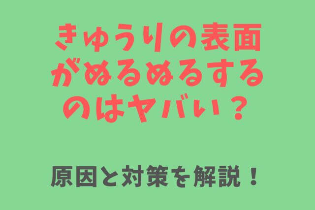 キュウリ」を輪切りにしたら断面が白いんですが 食べても大丈夫ですか？ あやしい野菜Q&A- All About ニュース