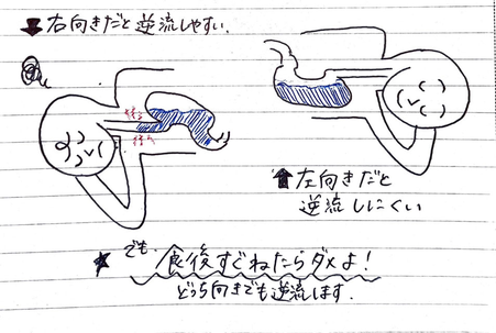 食後すぐ横になるだけで楽ヤセ！肝臓が元気になる「寝る向き」とは？からだにいいこと