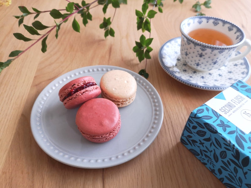 マカロンちゃん YouTube