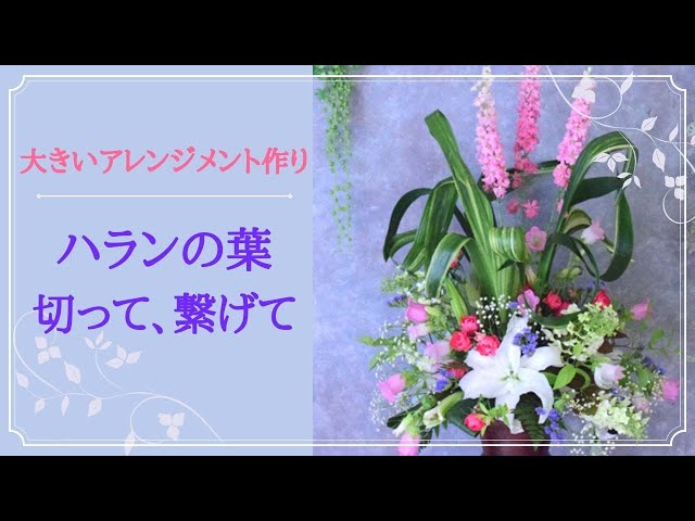 この葉っぱ大きいよね～GANREF