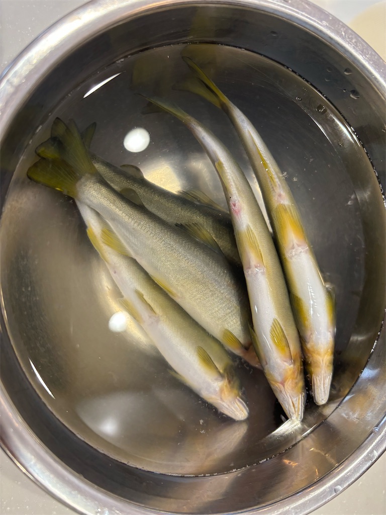 アナログ真空パックの巻 鮎を美味しく冷凍しよう！ - YouTube