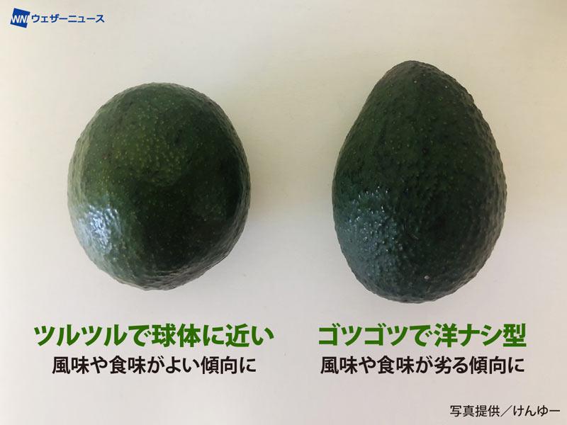 アボカドは柔らかければ食べ頃はウソ」食の専門家に教わる！スーパーで傷んでいないアボカドを見分ける方法とは？公式 モノマックス MonoMax 付録、カバン、時計、家電、カップ麺などの情報を詳しく解説