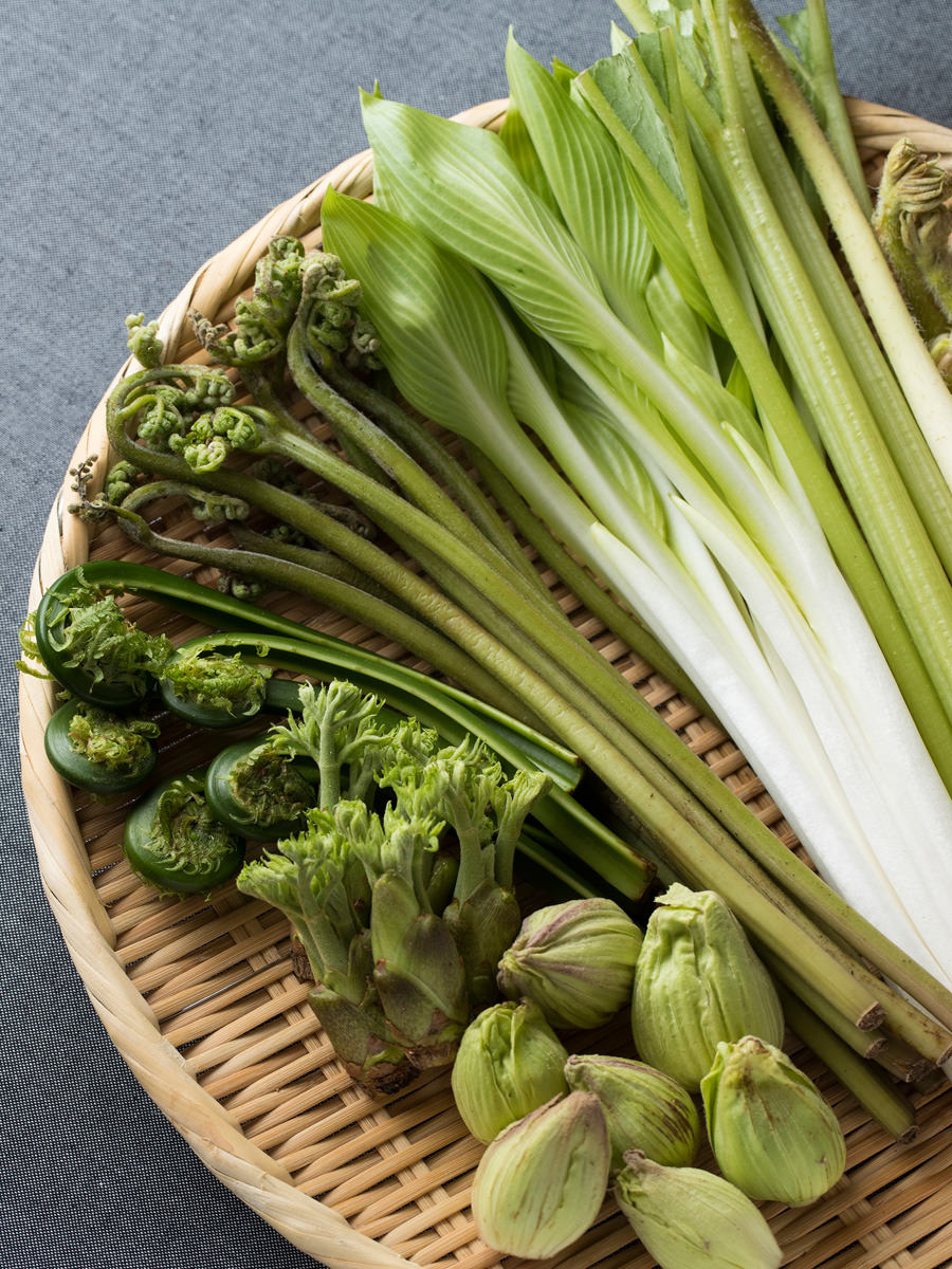 基本からアレンジまで！思わずつくりたくなる「こごみ 天ぷら」のレシピ集クックパッド