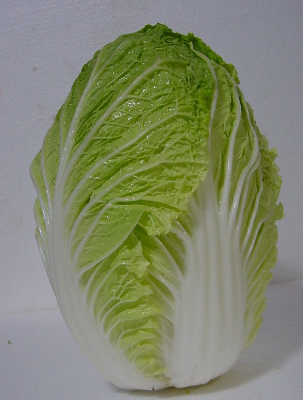 野菜生産量ランキング 日本2023TikTok