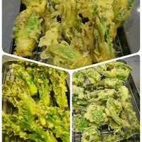 季節感じる！ こごみの天ぷら