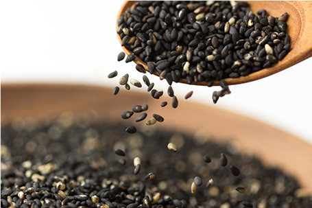 白ごま・摘芯 橋本市