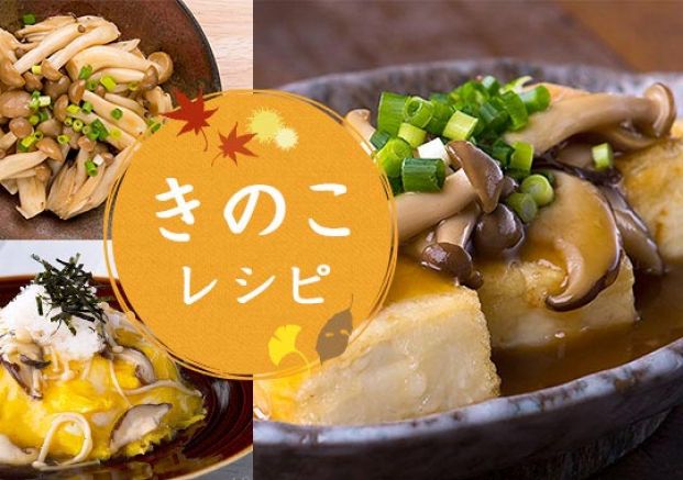 きのこ」を使った人気レシピ！メインからおかず、作り置きにも