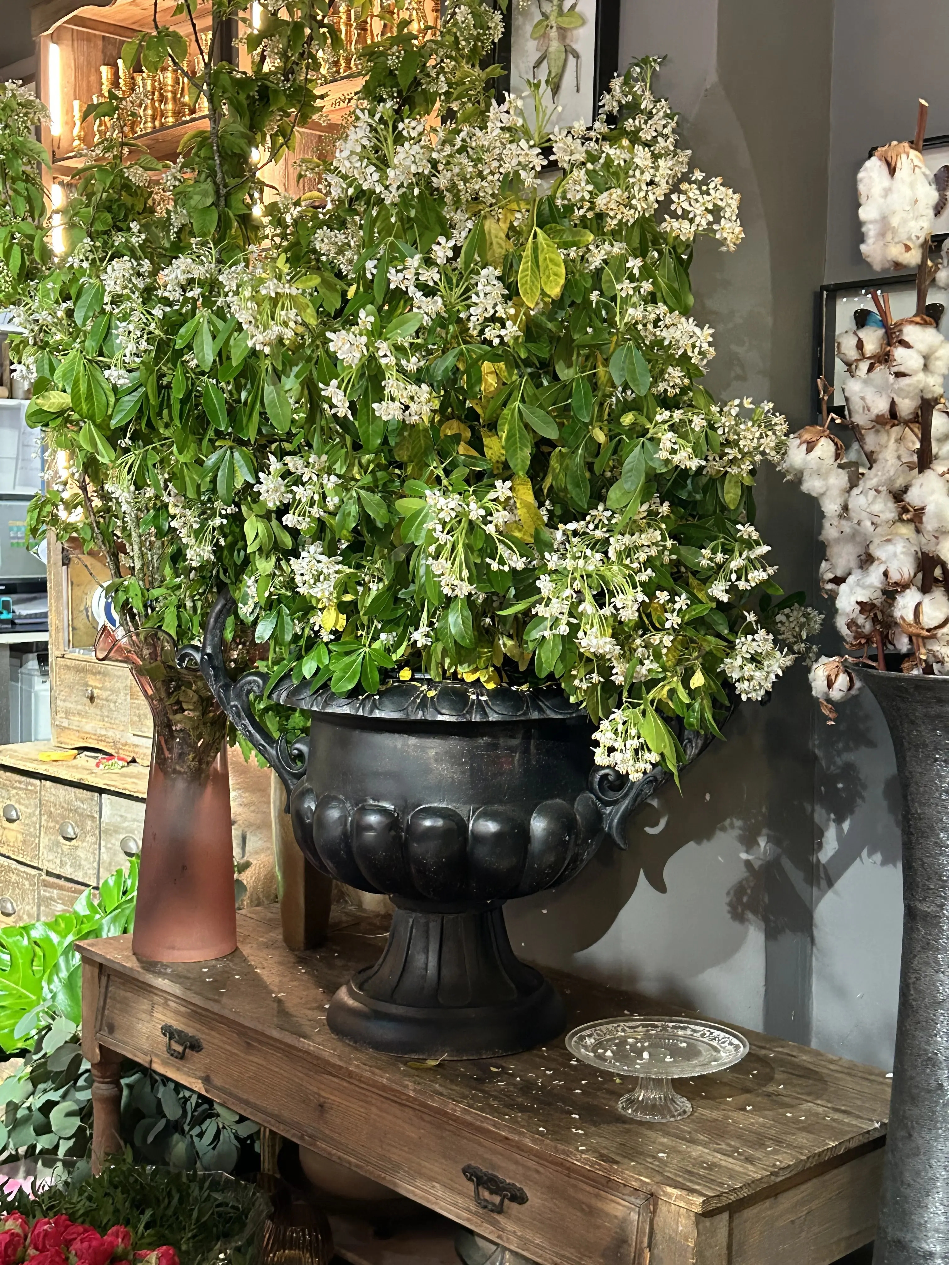 フランスの花屋の写真素材写真素材なら「写真AC」無料 フリー ダウンロードOK