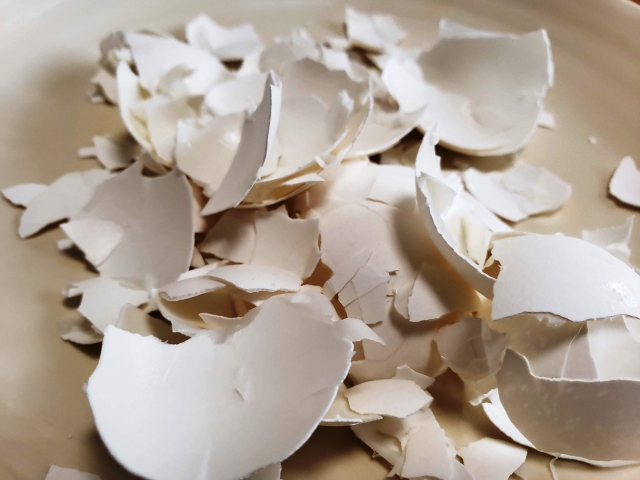 その他 卵の殻×お酢で虫除けを作る偉大なる果樹王国建設計画 おおげさ