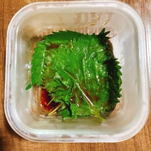 夏にぴったり！優秀「おにぎり」レシピ7選〜さっぱり食べられる絶品ぞろい♪注意点も要チェック - E・レシピ 1 1ページ