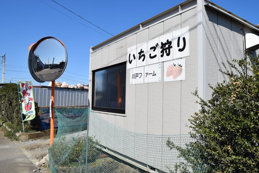 一番甘いいちごを探そう！ 「川戸ファーム」のいちご狩り！Totsuka_Zine
