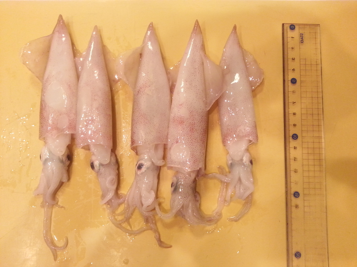 小イカのから揚げ