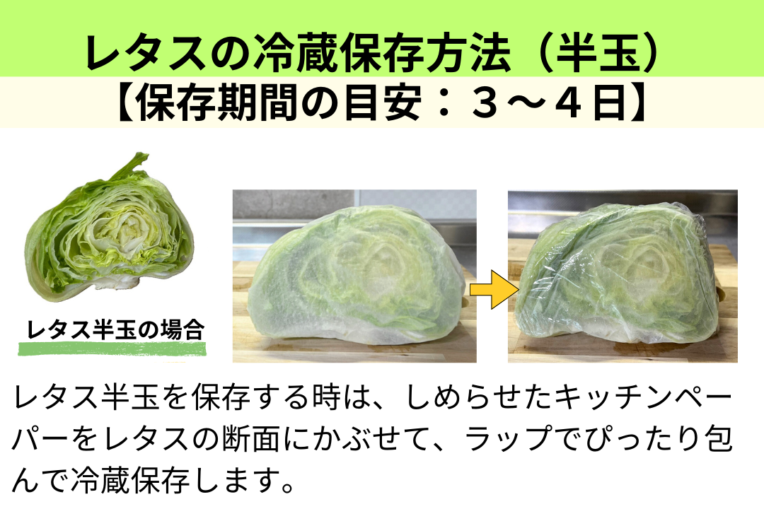 料理の幅が広がるレタスの冷凍保存傷みやすさをカバーする秘訣も！frozen by analyst.jp