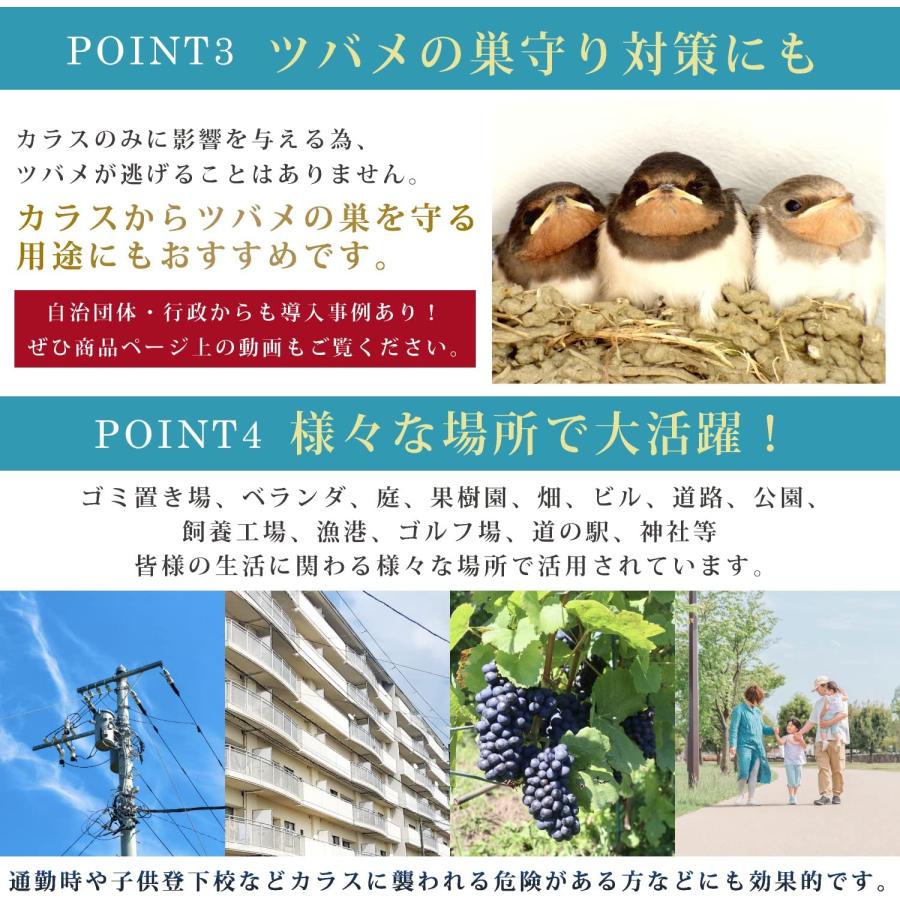 2025最新 庭・ベランダ用のランドリーグッズ！人気おすすめアイテムランキングわたしと、暮らし