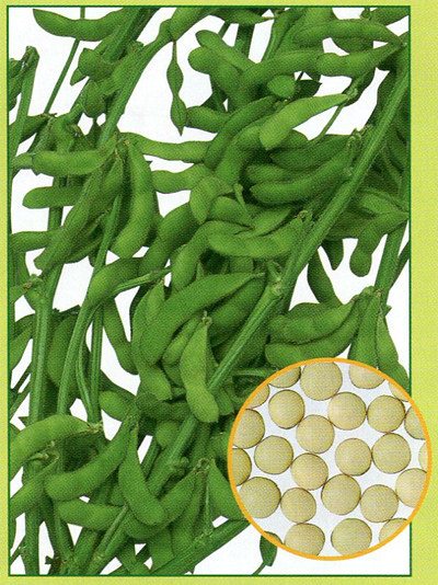 タチウオの酒盗焼き : 肴