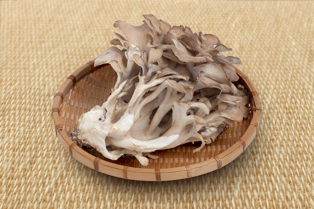 俳句ポスト｢湿地茸｣の週｢天・地｣10 28。｢湿地茸生う同胞多き大穴牟遅神 笑松。｢天｣賞 ｣すえよしの俳句ブログ